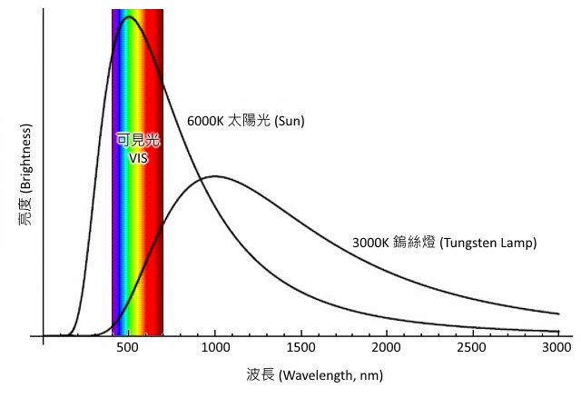 Tungsten Light Source 