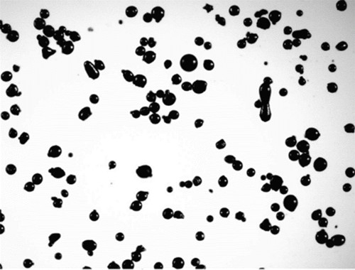 Image Capture of The Alloy Powder