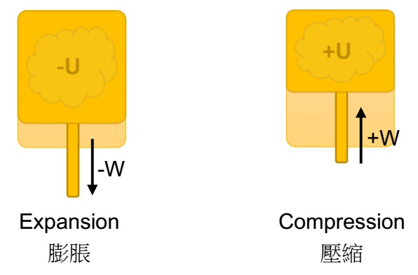 Expansion & Compression of Thermodynamic System