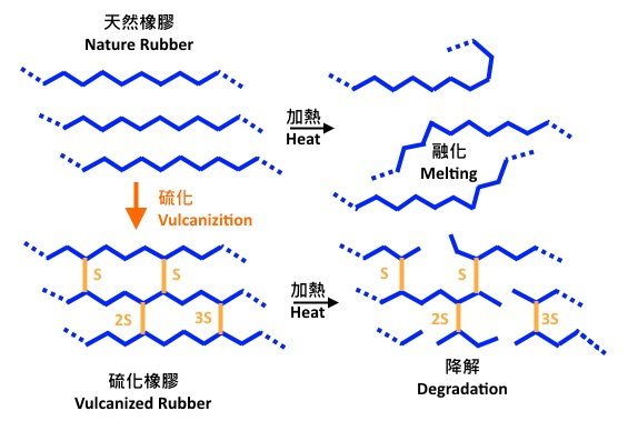 Rubber Vulcanization